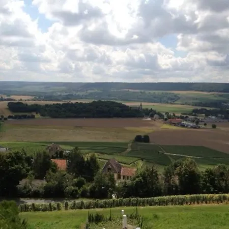 別荘 Large In The Heart Of Champagne *