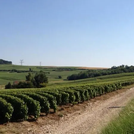 Large In The Heart Of Champagne 別荘 Baslieux-sous-Châtillon